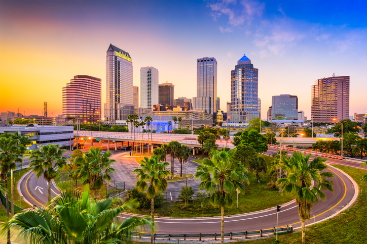 Panoramic Image of Lutz, Florida